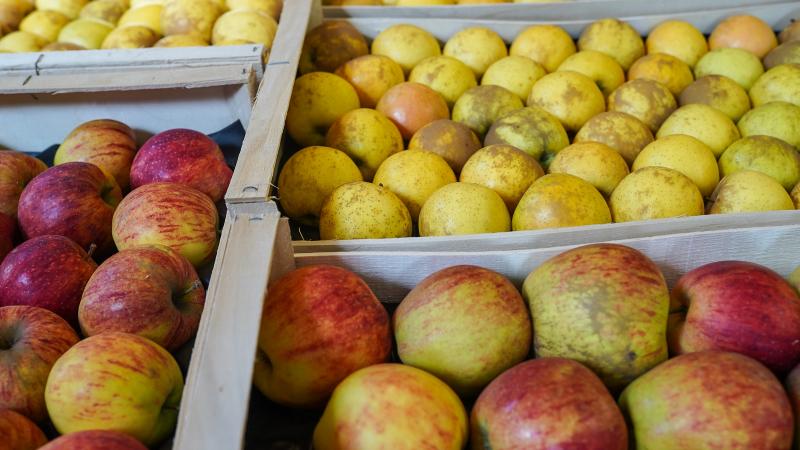 Pommes BIO* Cotentin. 4,95€/kg - C'est 5 par jour : fruits et légumes